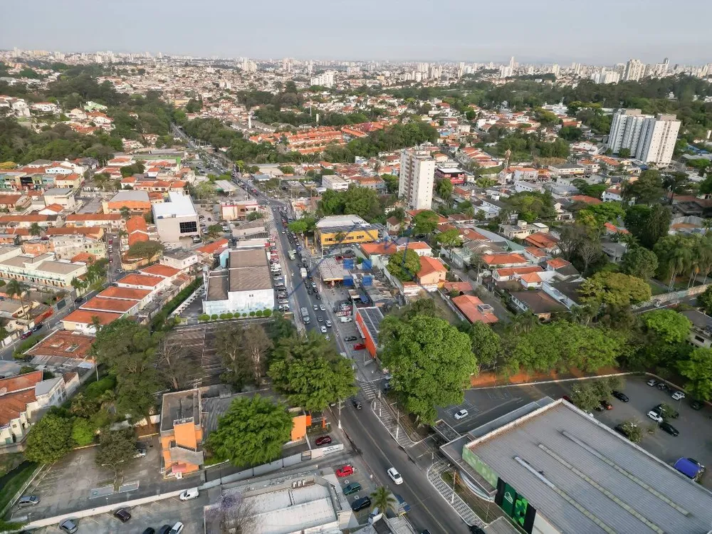 Apartamento, 3 quartos, 270 m² - Foto 11