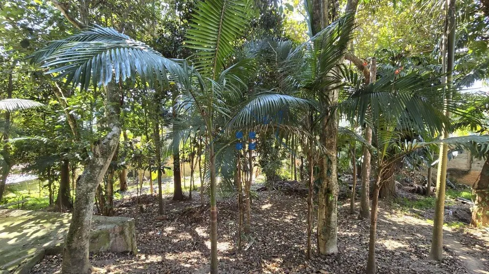 Casa, 5 quartos, 465 m² - Foto 10