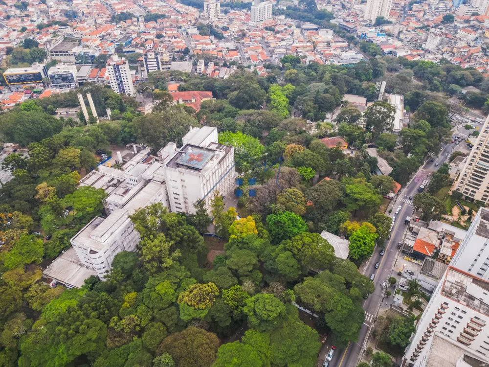 Cobertura, 4 quartos, 264 m² - Foto 8