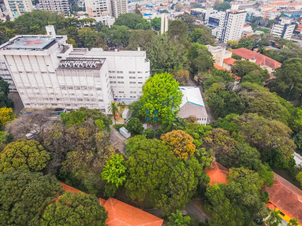 Cobertura, 4 quartos, 264 m² - Foto 11