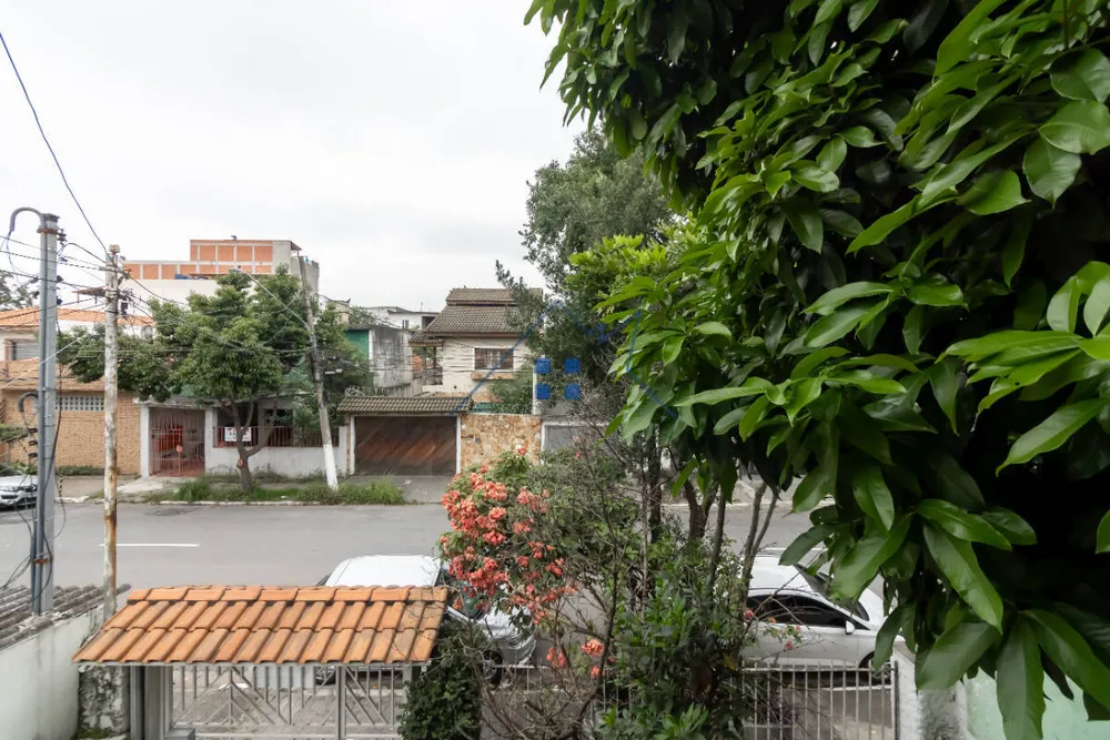 Casa, 3 quartos, 264 m² - Foto 20