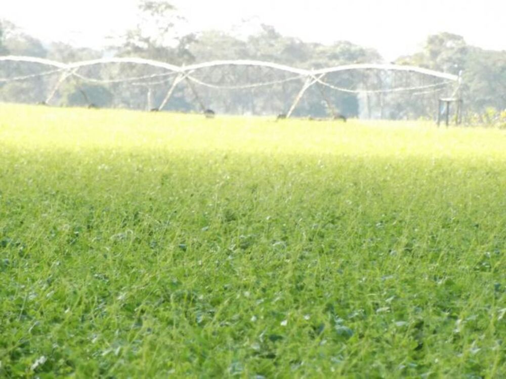 Fazenda-Sítio-Chácara, 588 m² - Foto 2