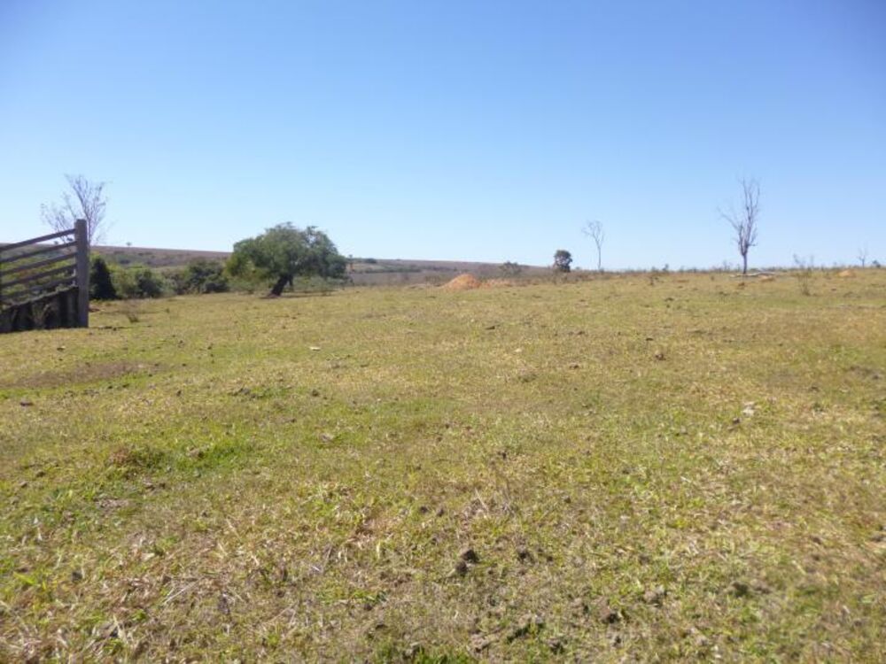 Fazenda à venda com 5 quartos - Foto 8