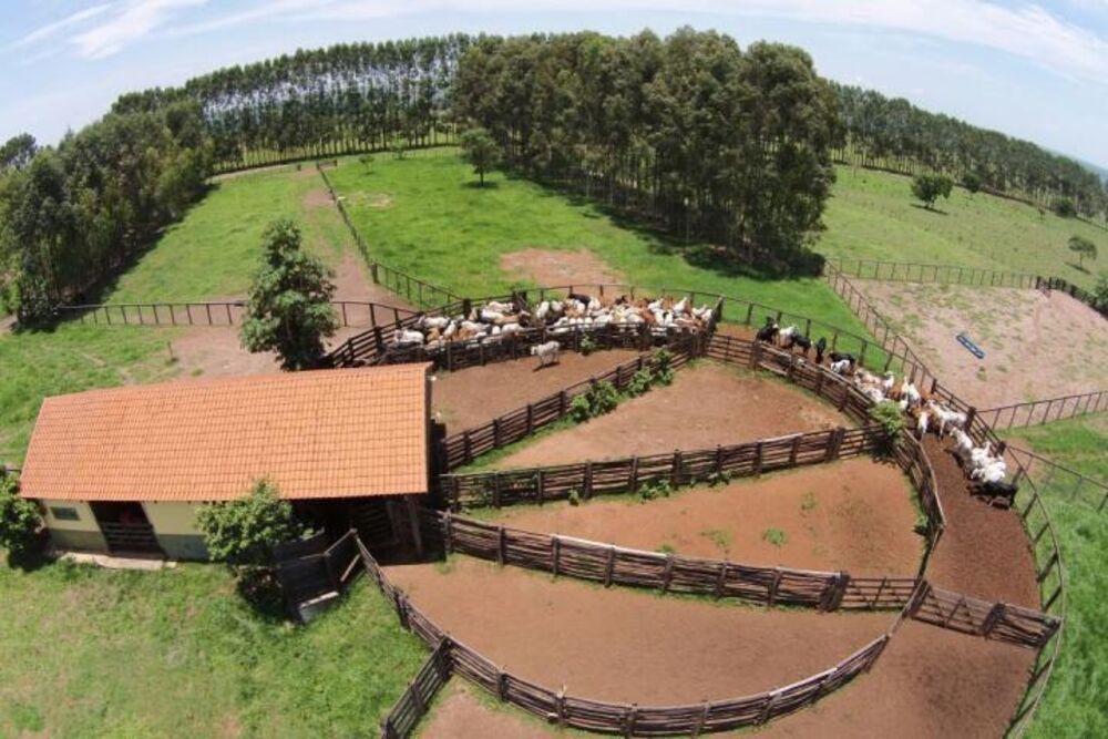 Fazenda - Foto 2