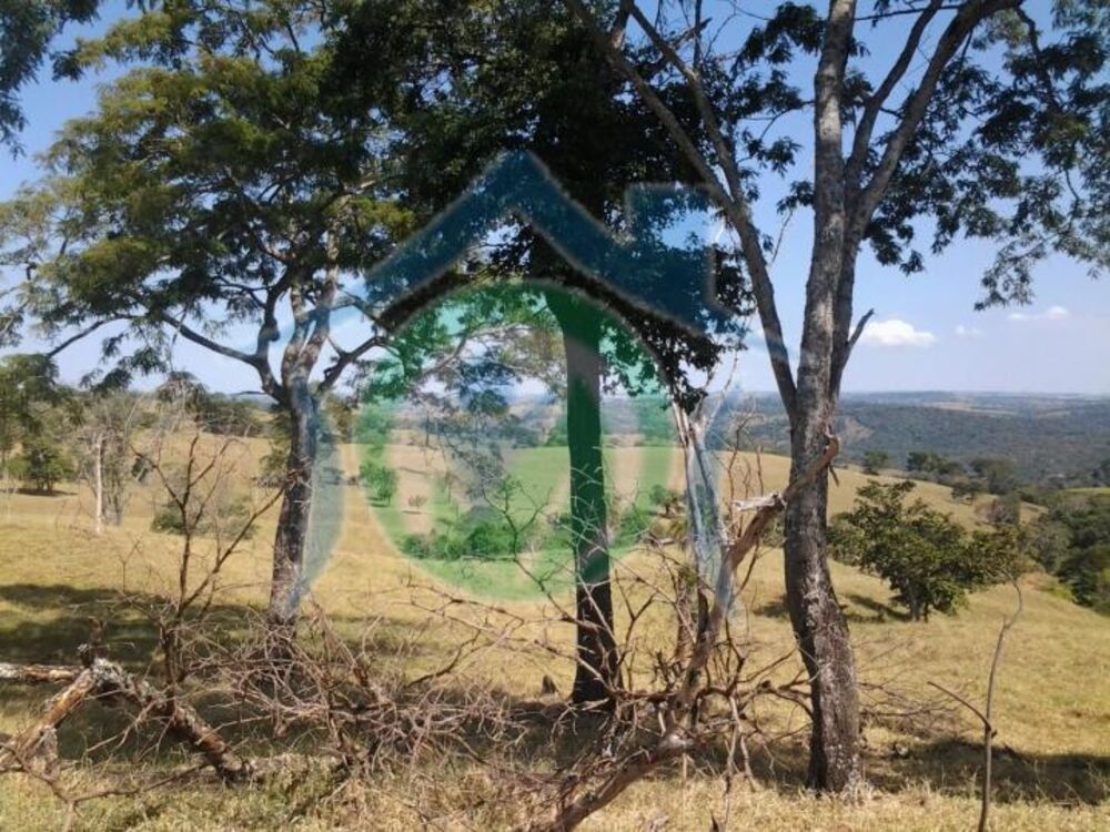 Fazenda - Foto 14