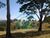 Fazenda-Sítio-Chácara - Foto 1