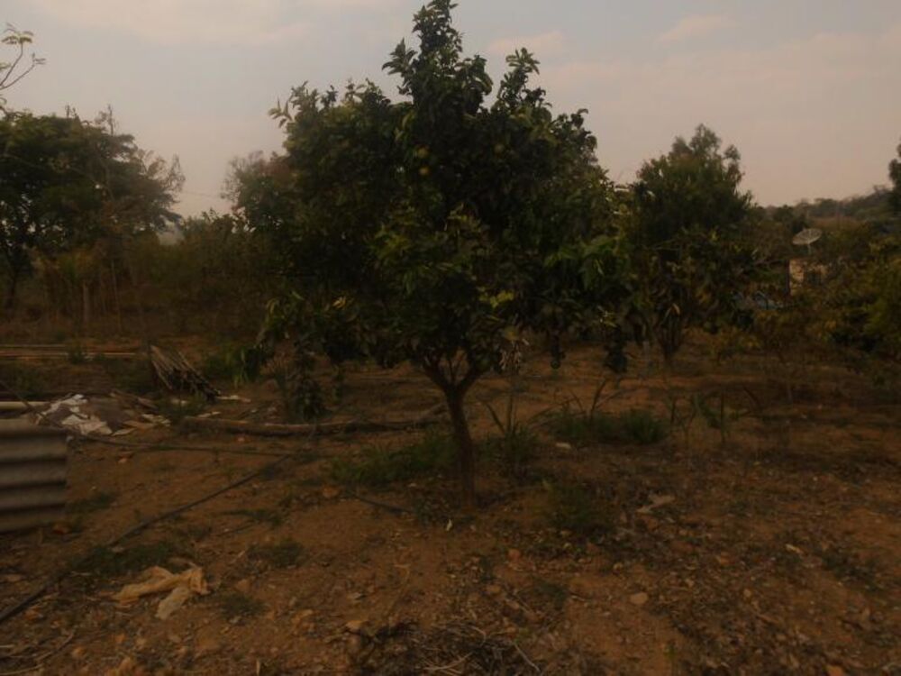 Chácara, 2 quartos, 5150 m² - Foto 6