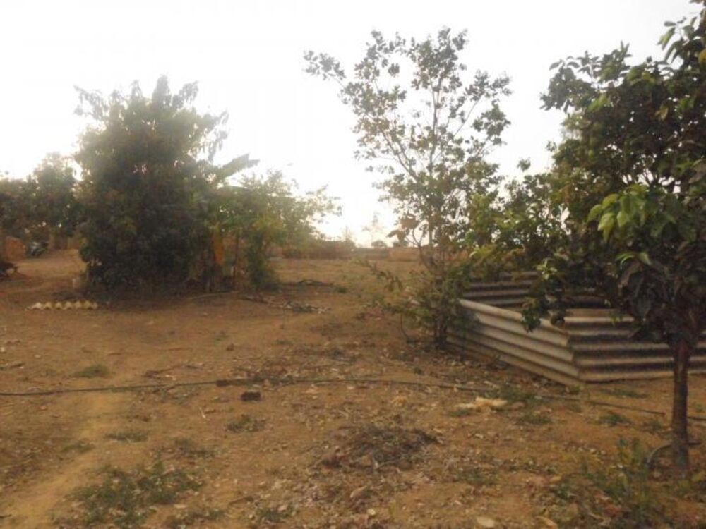 Chácara, 2 quartos, 5150 m² - Foto 5