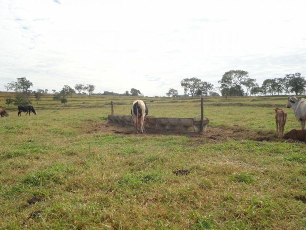 Fazenda à venda com 3 quartos, 15m² - Foto 8