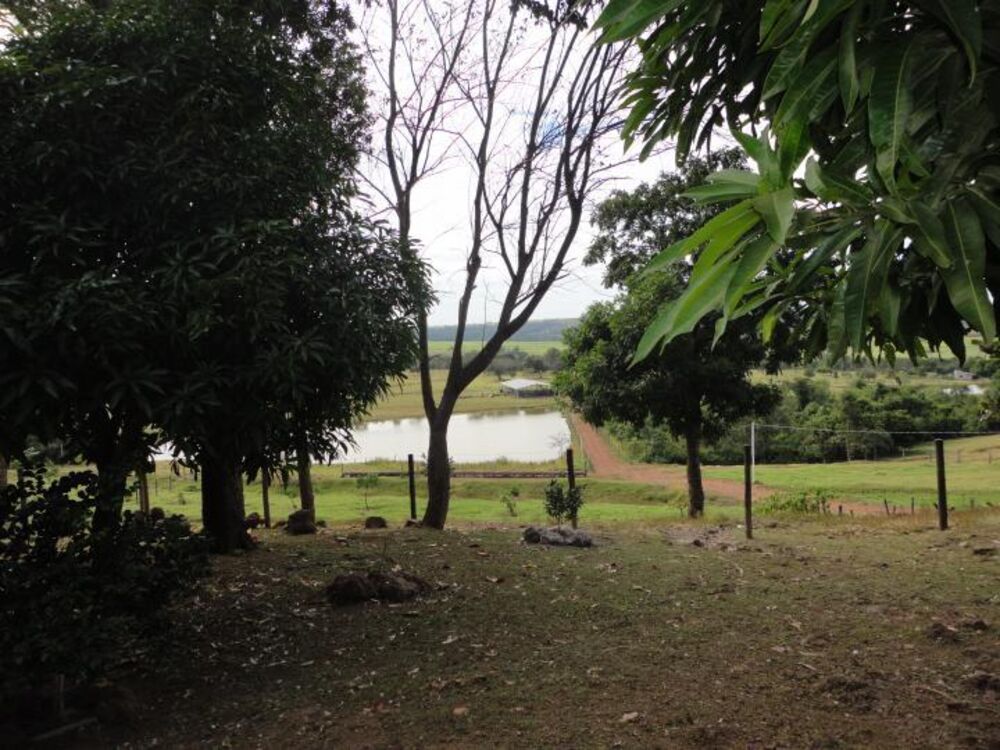 Fazenda à venda com 3 quartos, 15m² - Foto 5
