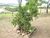Fazenda, 15 m² - Foto 6