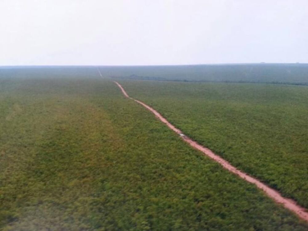 Fazenda-Sítio-Chácara - Foto 1