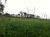 Fazenda - Foto 4