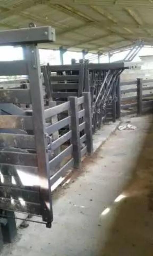 Fazenda - Foto 4
