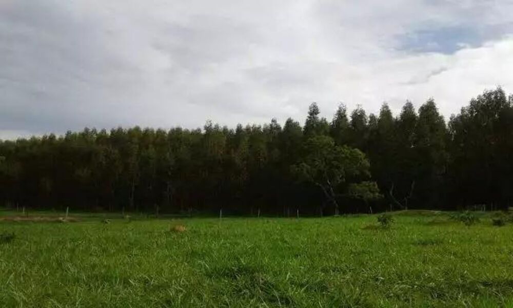 Fazenda - Foto 1