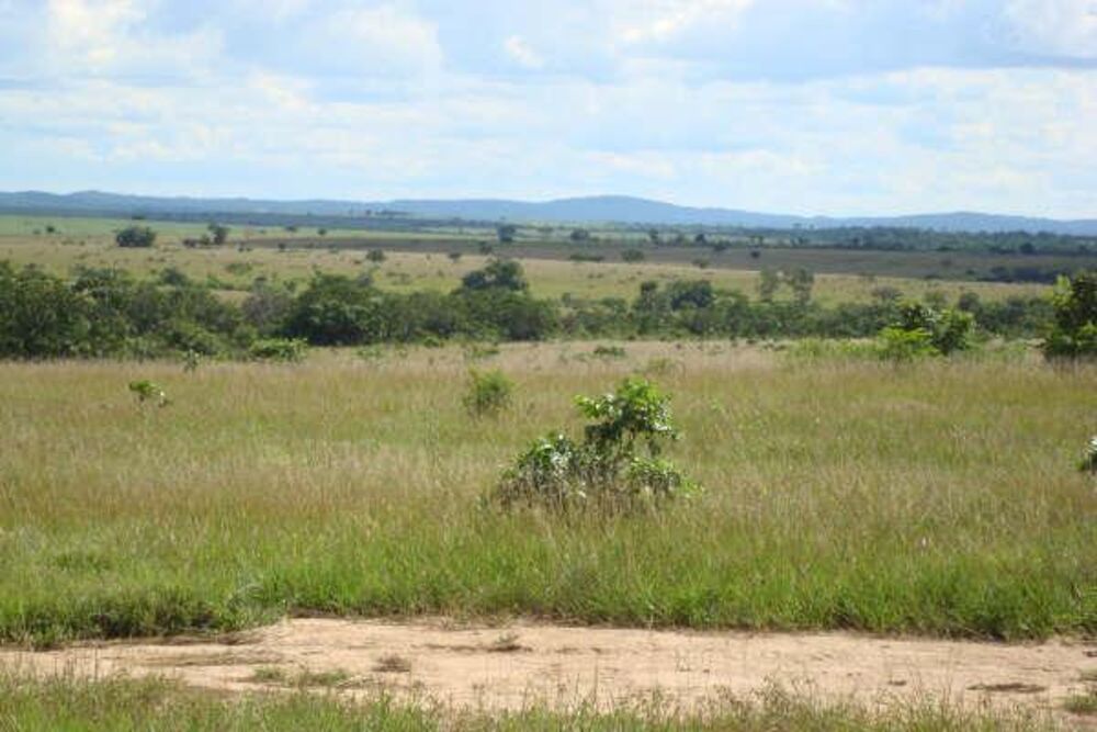 Fazenda à venda - Foto 13