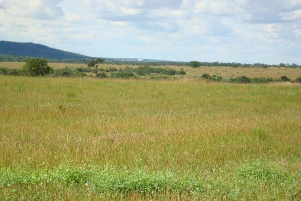 Fazenda à venda - Foto 17