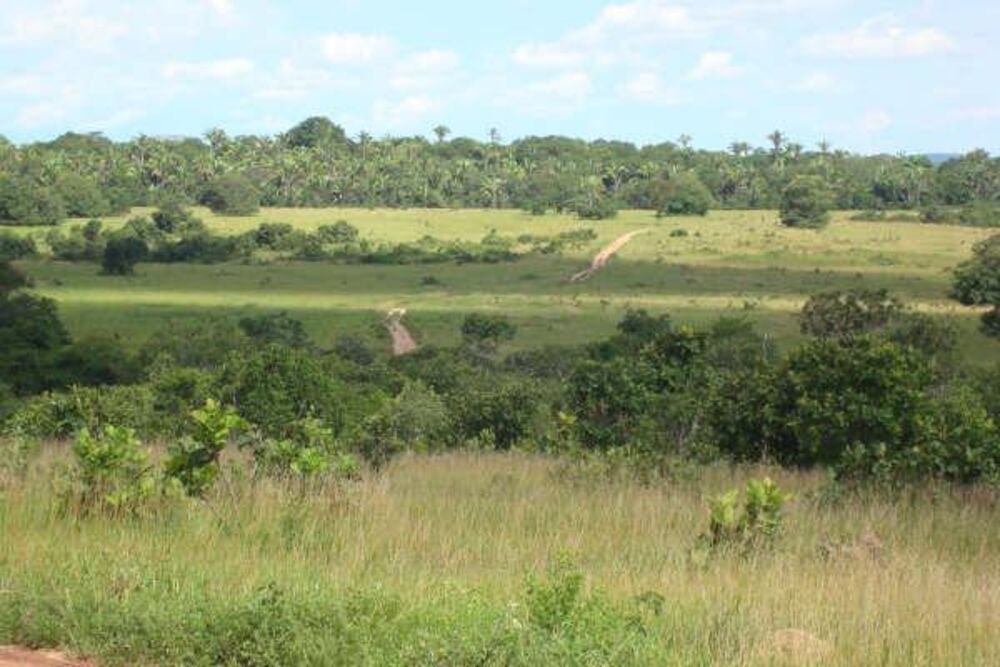 Fazenda à venda - Foto 12