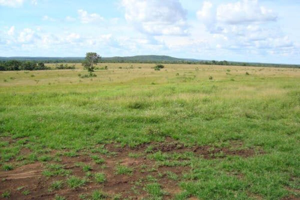 Fazenda à venda - Foto 19