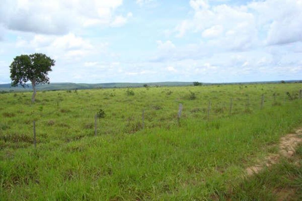 Fazenda à venda - Foto 10