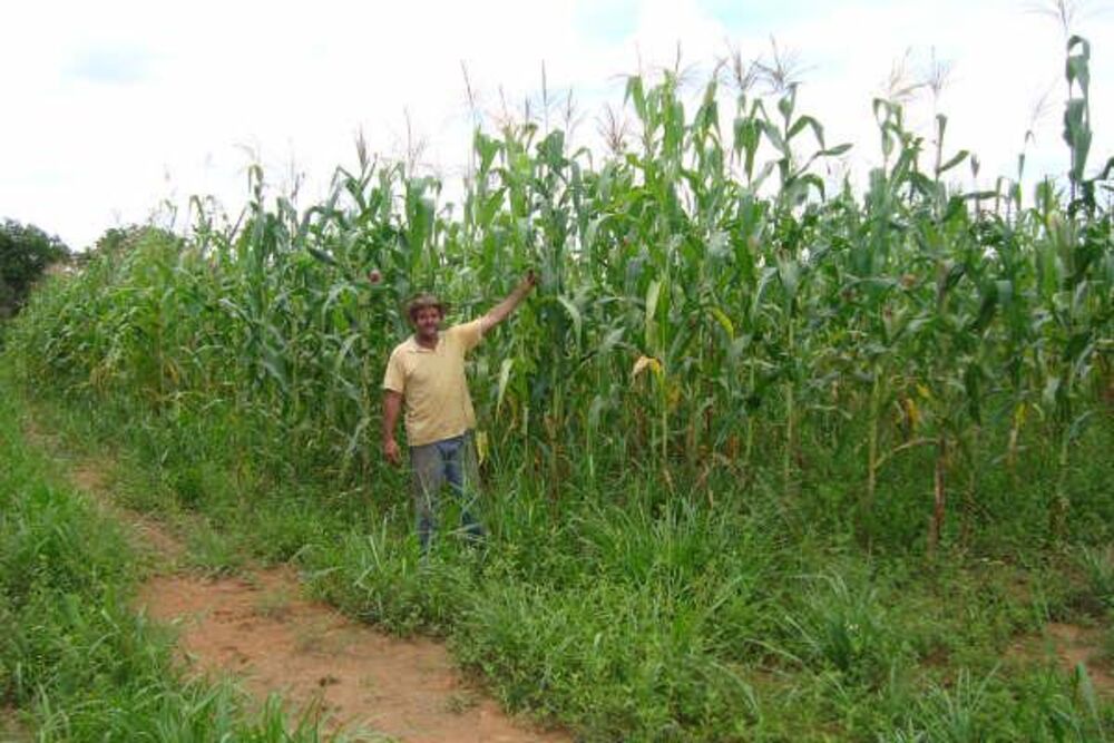 Fazenda à venda - Foto 9