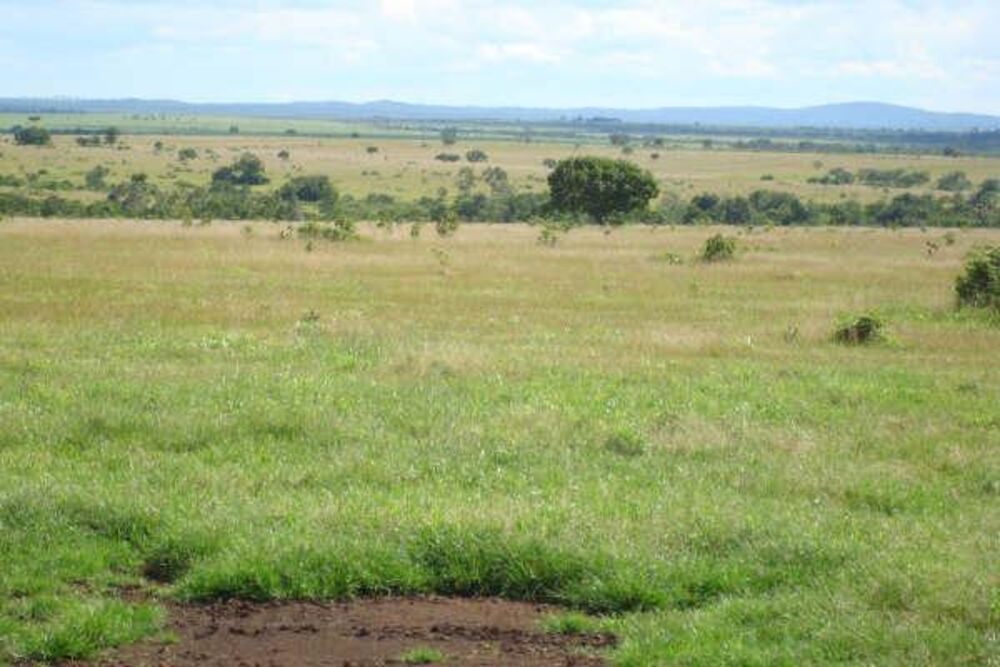 Fazenda à venda - Foto 18