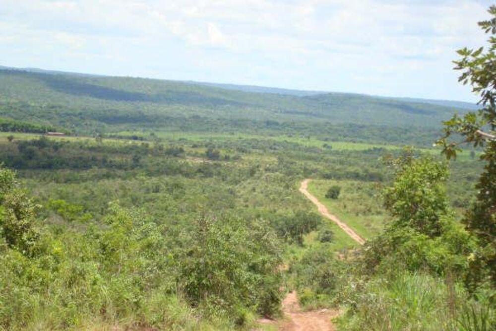 Fazenda à venda - Foto 3