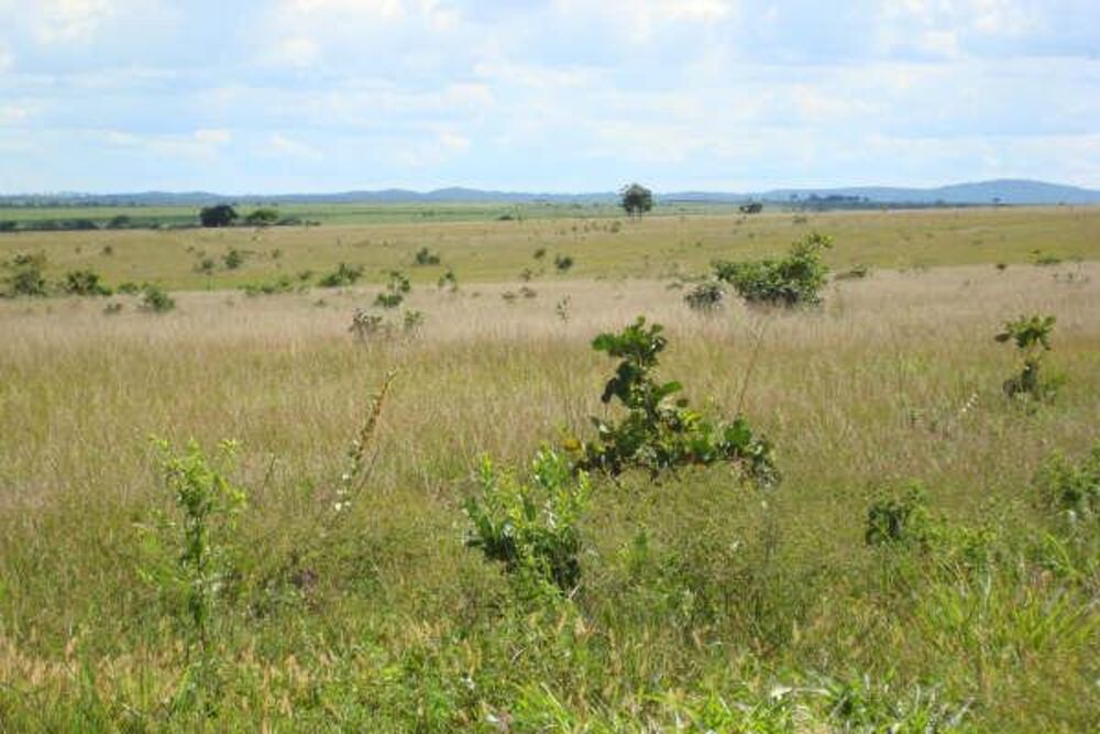 Fazenda à venda - Foto 14