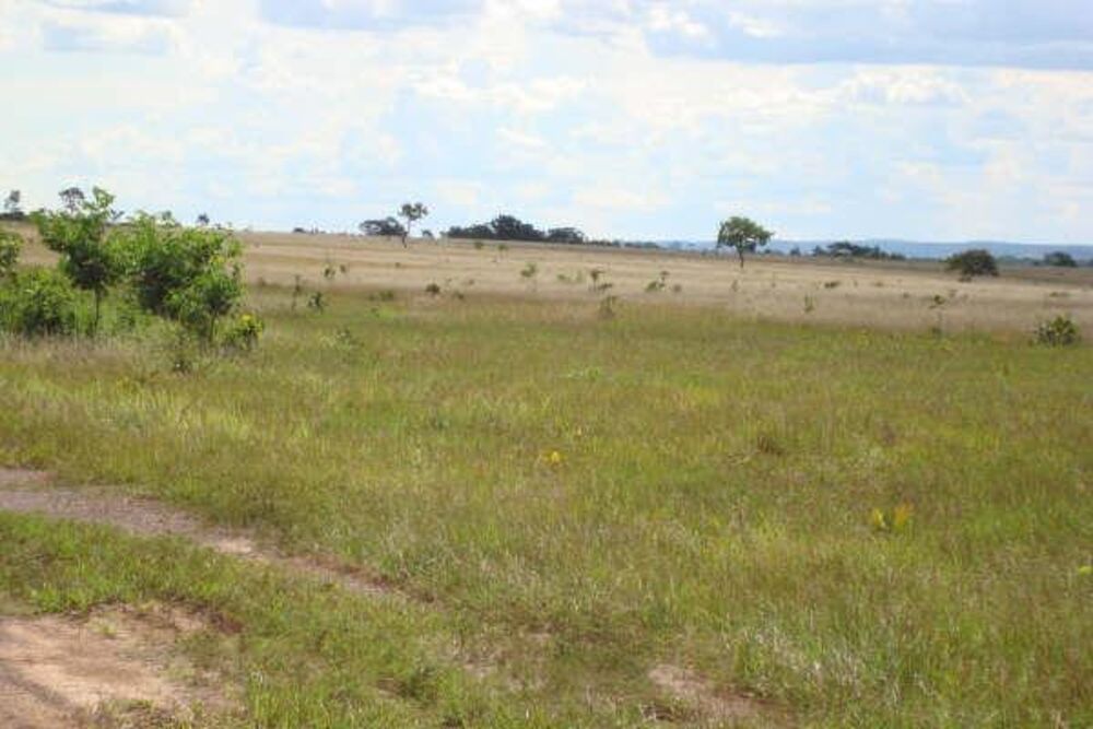 Fazenda à venda - Foto 16