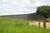Fazenda-Sítio-Chácara - Foto 8