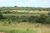 Fazenda-Sítio-Chácara - Foto 12