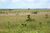 Fazenda-Sítio-Chácara - Foto 14