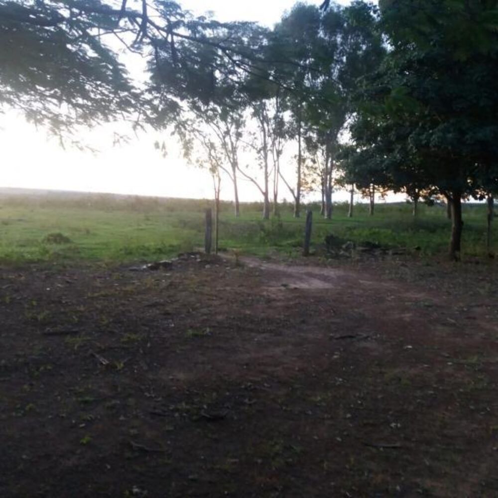 Fazenda - Foto 20