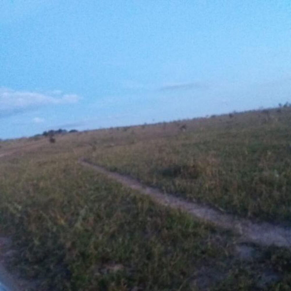 Fazenda - Foto 7