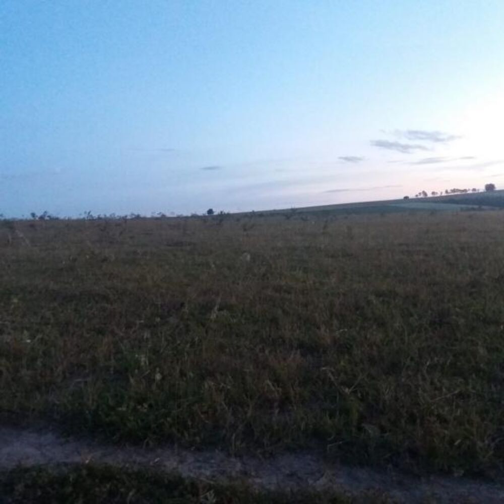 Fazenda - Foto 2