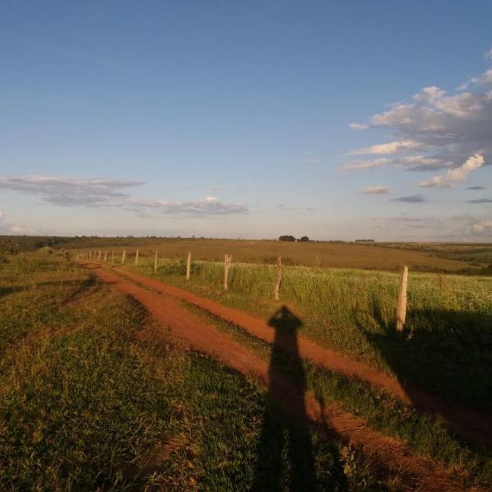 Fazenda - Foto 3