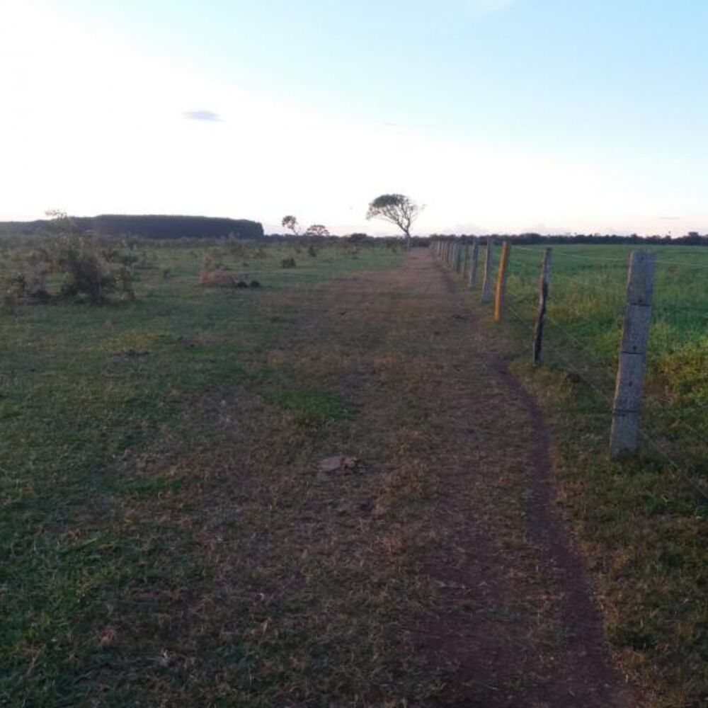 Fazenda - Foto 18