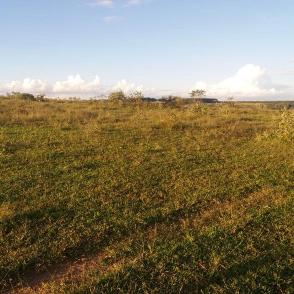 Fazenda - Foto 8
