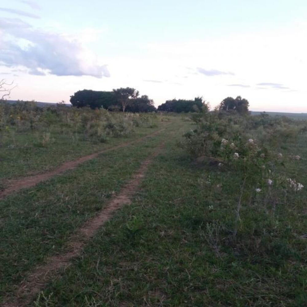 Fazenda - Foto 13