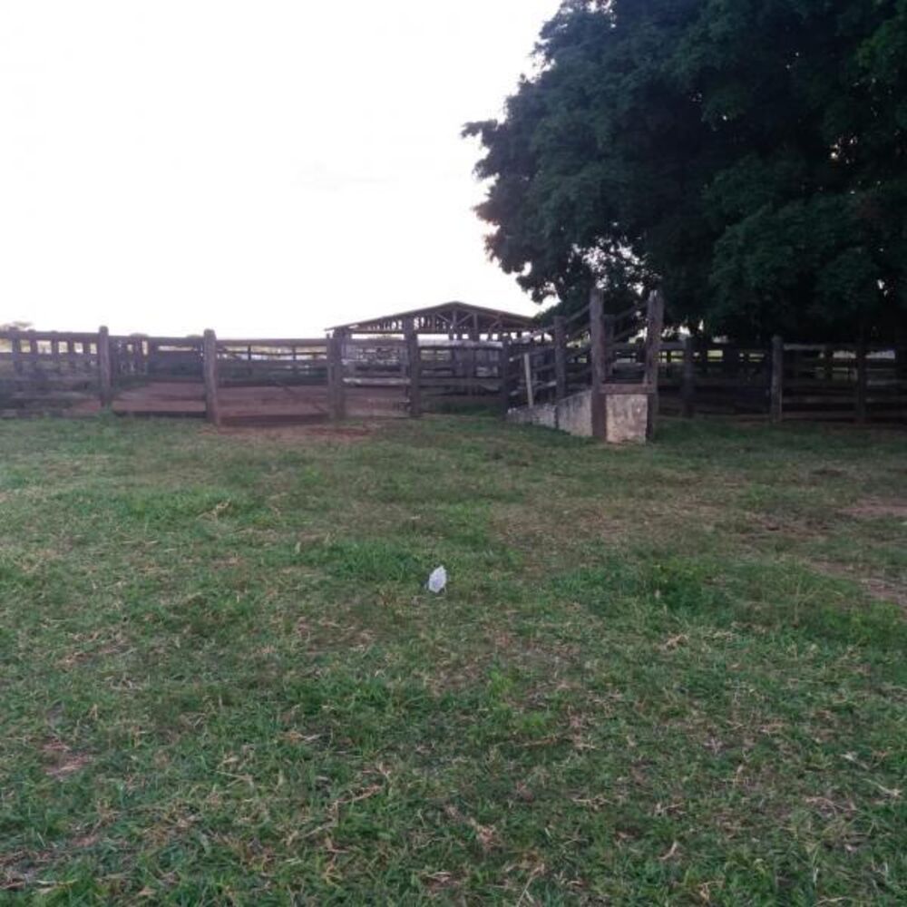 Fazenda - Foto 5