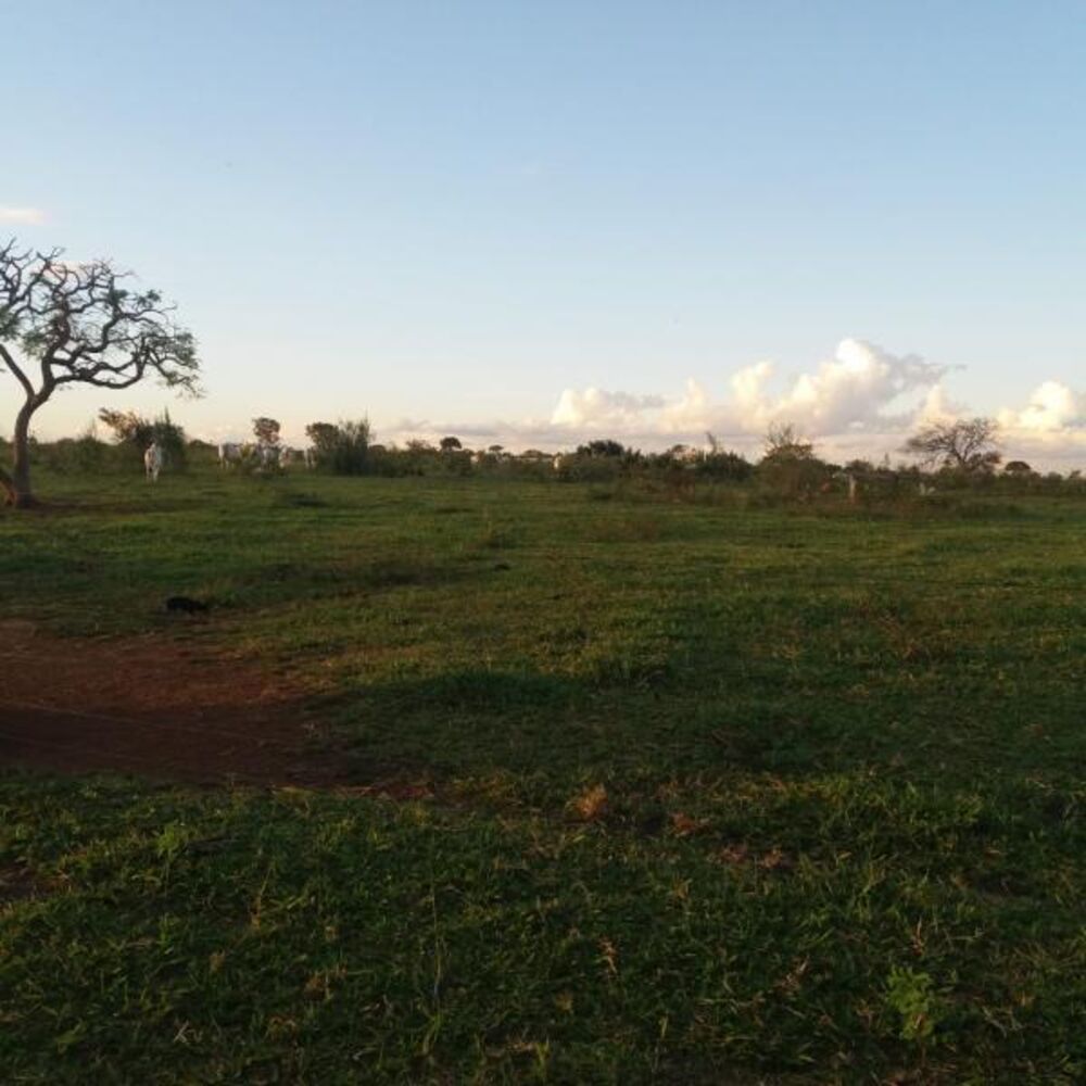 Fazenda - Foto 14