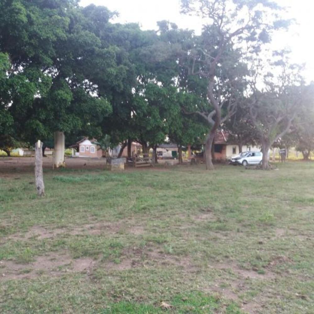 Fazenda - Foto 10