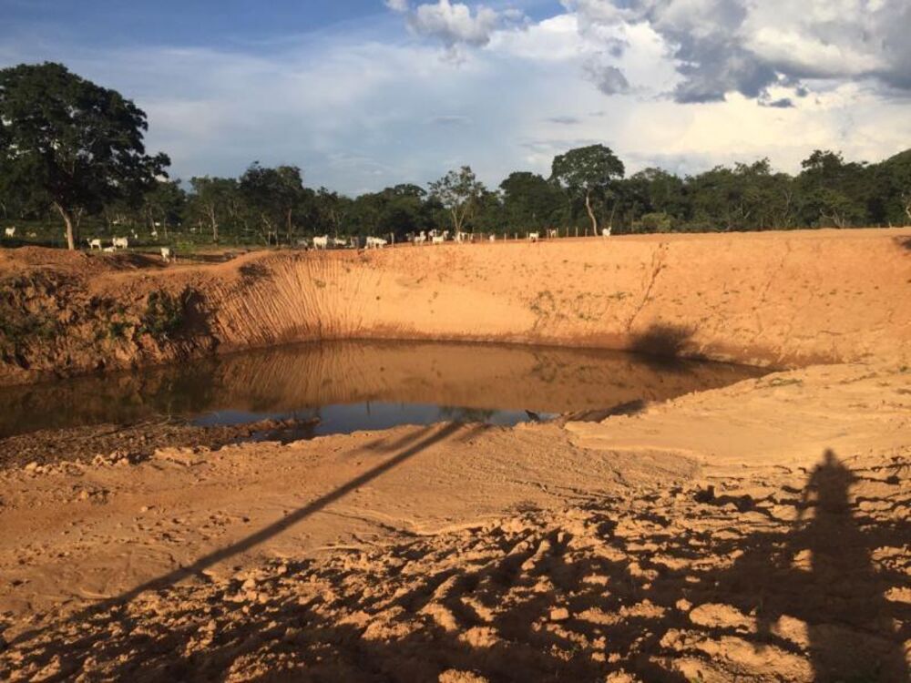 Fazenda - Foto 5