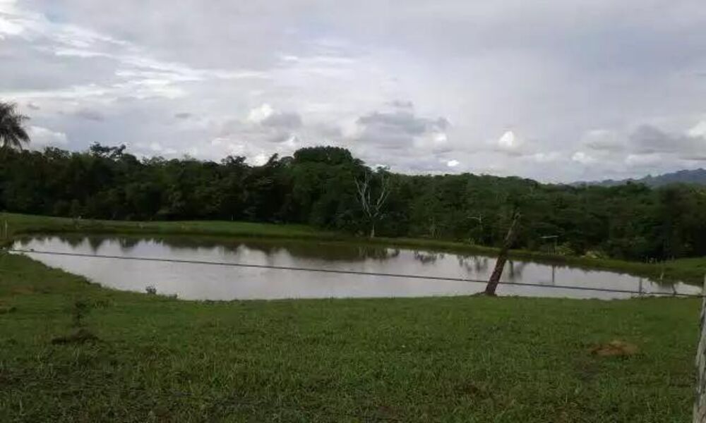 Fazenda - Foto 1