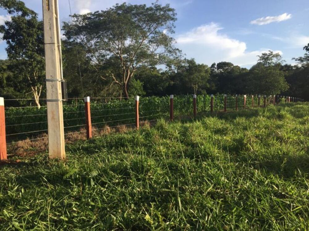 Fazenda - Foto 7