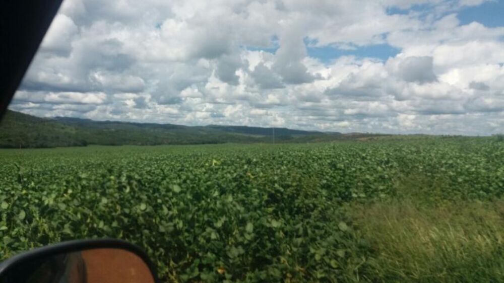Fazenda, 1560 m² - Foto 1