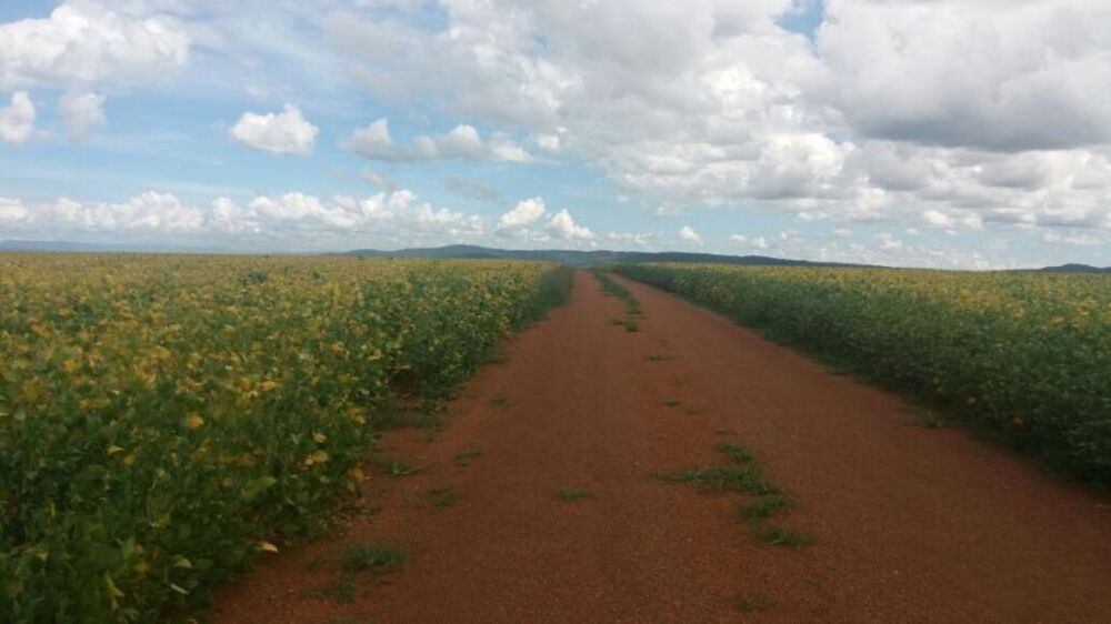 Fazenda, 1560 m² - Foto 2