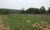 Fazenda, 2750 m² - Foto 2