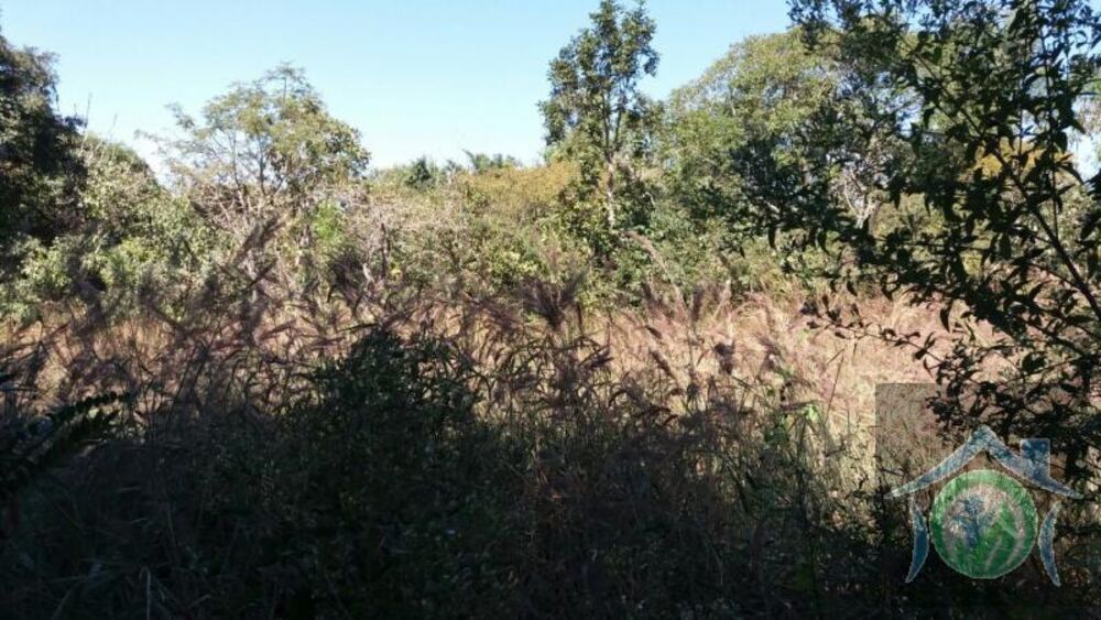 Chácara, 4591 m² - Foto 9