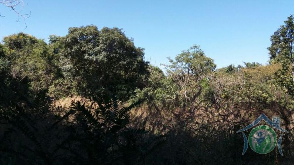 Chácara, 4591 m² - Foto 4